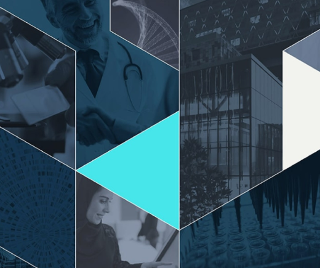 portfolio_solution_1