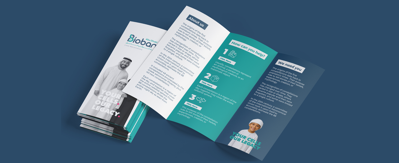 portfolio_solution_3